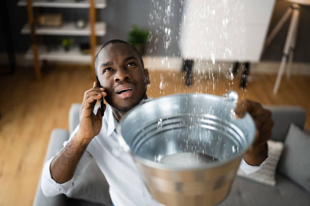Best Ceiling water damage repair  in Greenhills, OH
