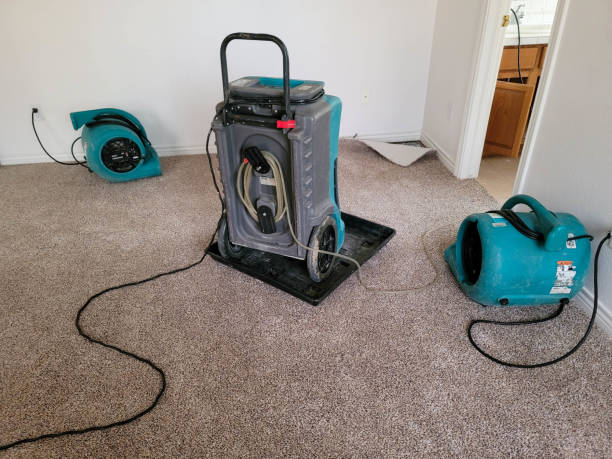 Best Water damage restoration mold remediation  in Greenhills, OH