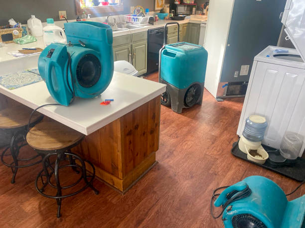 Best 24-hour water damage restoration  in Greenhills, OH