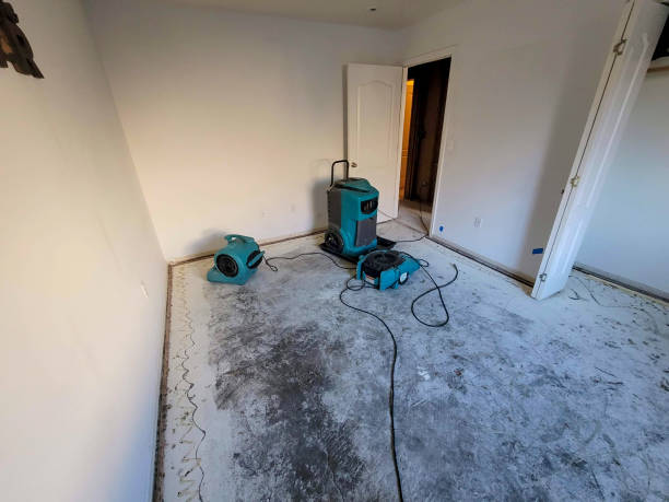Best Local water damage restoration  in Greenhills, OH