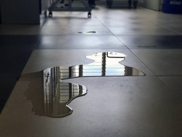 Best Water damage cleanup near me  in Greenhills, OH